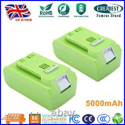 24V 5.0Ah Li-ion Battery/Charger For GreenWorks G-24 24V 29842 29852 29322 29837