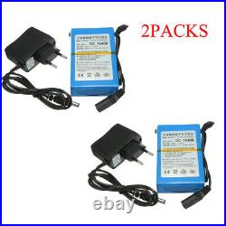 2x DC-12480 4800mAh Rechargeable Portable Li-Ion Battery Cell Pack withCharger 12V