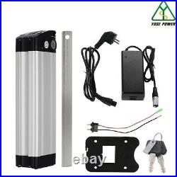 36V15Ah Lithium-ion Battery E-bike Silver Fish with Cellphone Charging USB