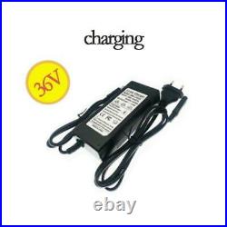 36v Ebike Battery Pack 30ah Li-ion Motorcycle Scooter E-bike 500w With Charger