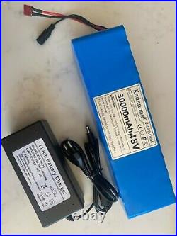 48v Ebike 30ah Battery Pack lithium ion battery 1000w bike Scooter & charger