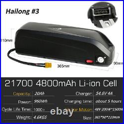 52V 48V 36V 20Ah DownTube Hailong Lithium Li-Ion Ebike Battery Pack with Charger