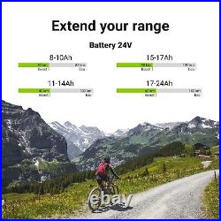 E-Bike Battery 24V 10.4Ah Li-Ion Lithium Silverfish Electric Bicycle + Charger