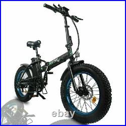 Electric Bike 48V 20 Fat Tires 500W Portable Folding LCD Road & Beach E-bike