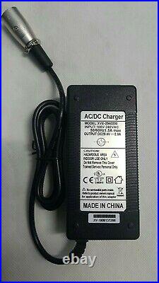 Li-ion Battery for electric bicycle e-bike 24V 10Ah 10.4 Lithium battery charger