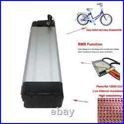 Lithium Ion Li-ion Battery 24V Rechargeable Electric E Bike Bicycle Silver Fish