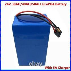 Lithium Iron Phosphate LiFePO4 Battery 24V Electric E Bike Bicycle Scooter Pack