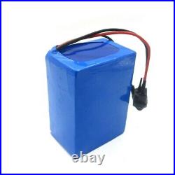 Lithium Iron Phosphate LiFePO4 Battery 24V Electric E Bike Bicycle Scooter Pack