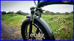 Roadhog FatBike EBike Electric Bicycle Folding 250W Fat Tyre Fast Assembly UK